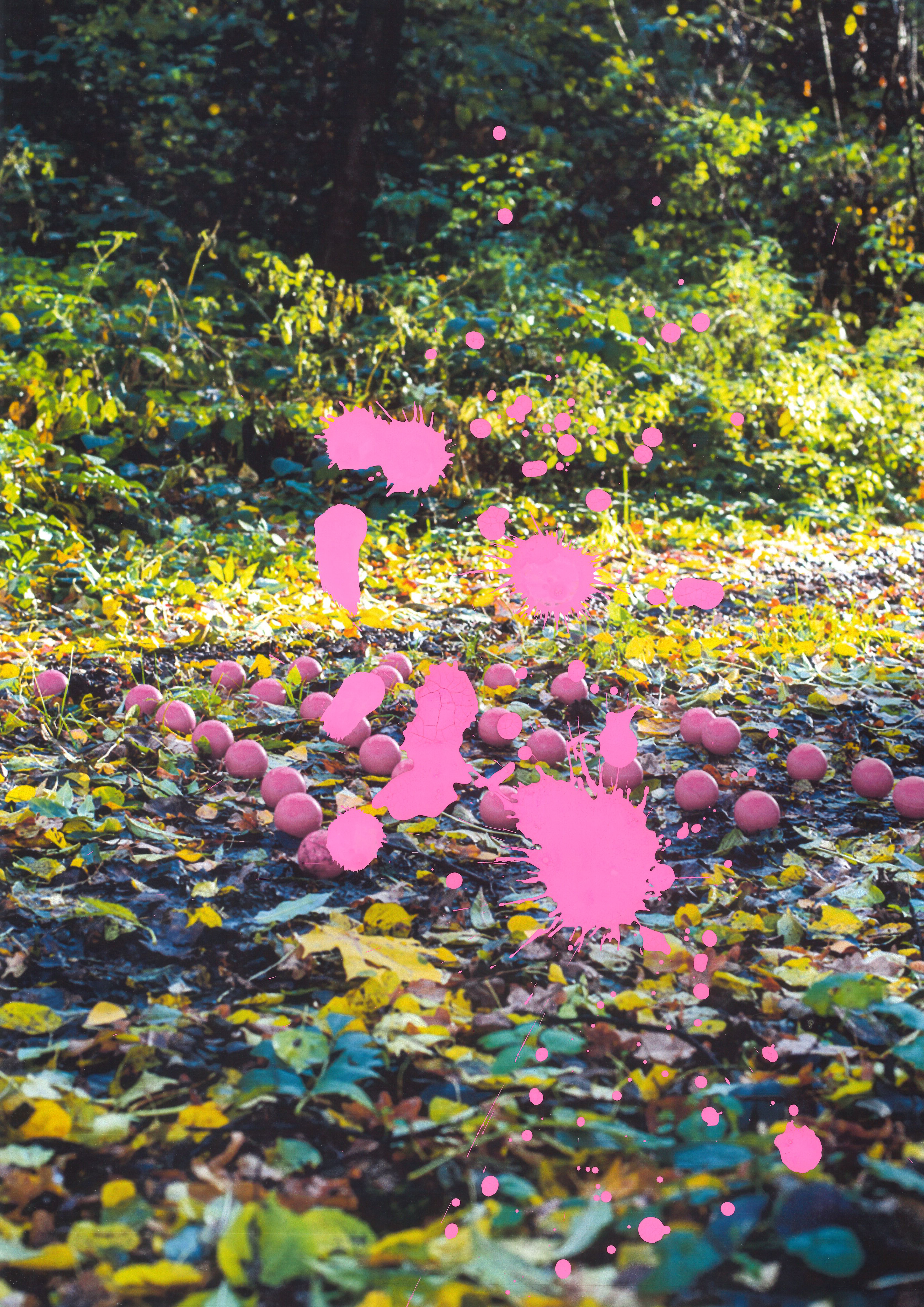 20250121170040642_0001