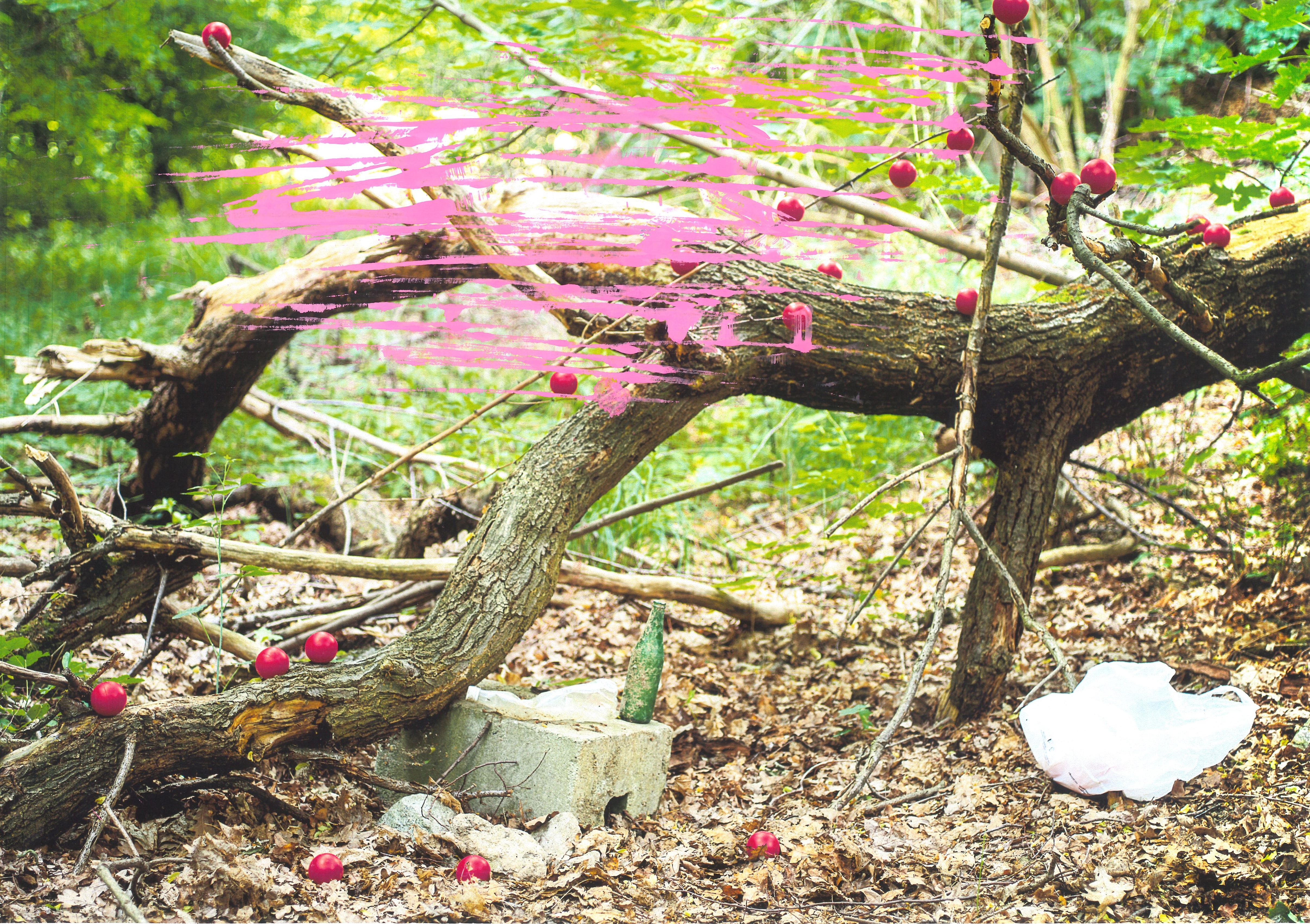 20250121170123269_0001