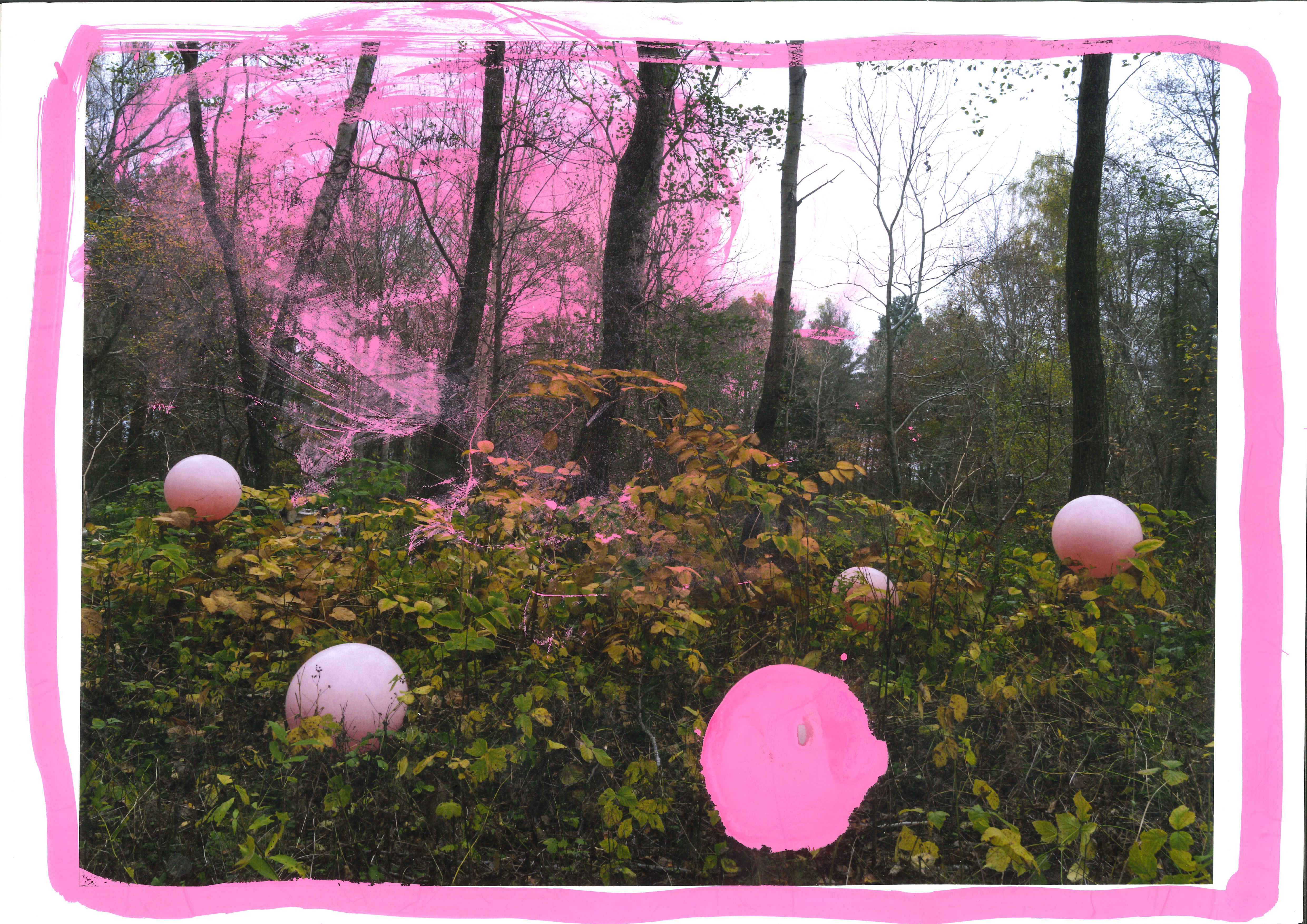 20250121170149675_0001